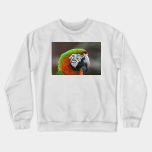 Preserve Crewneck Sweatshirt